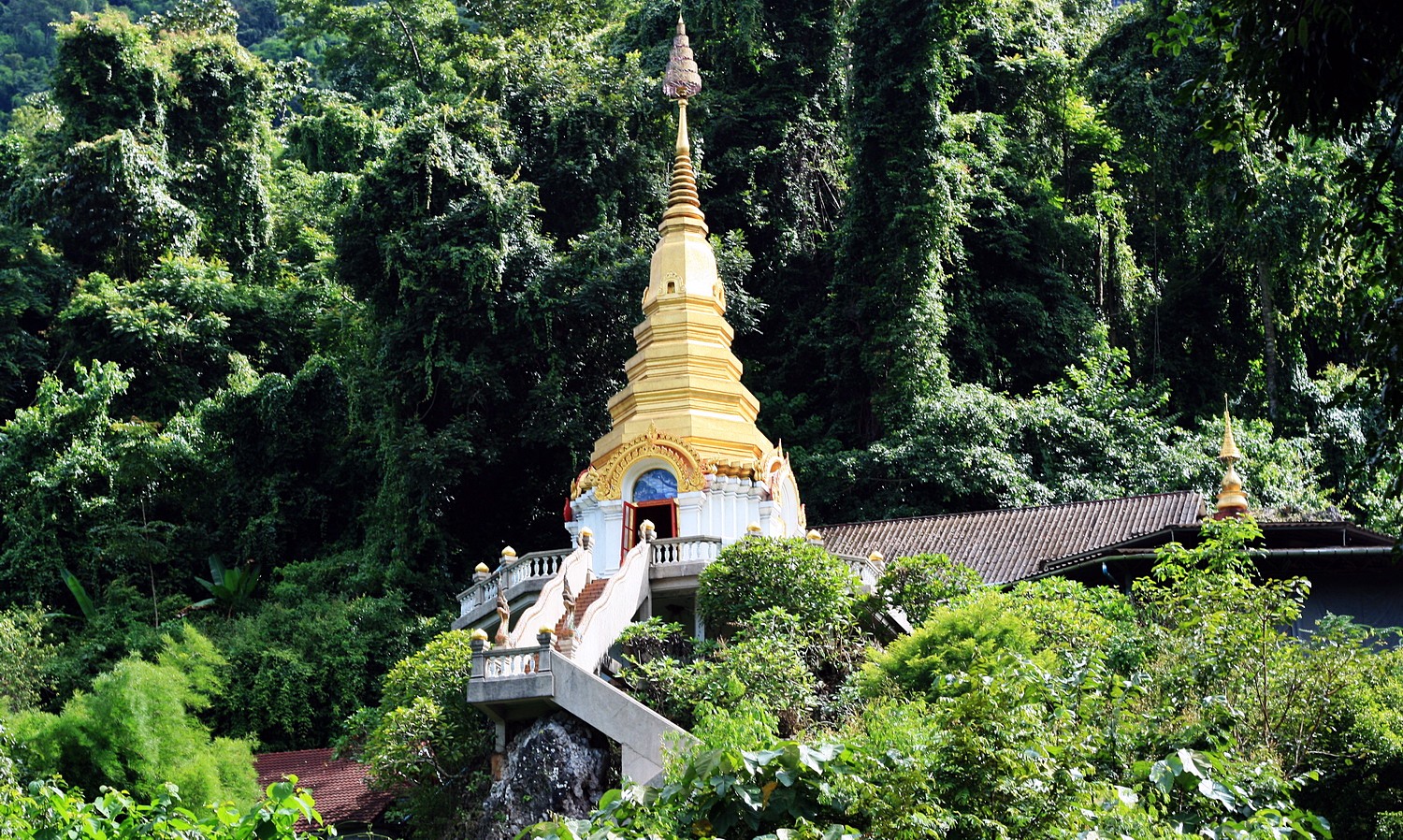 Cuevas Chiang Dao en elefante