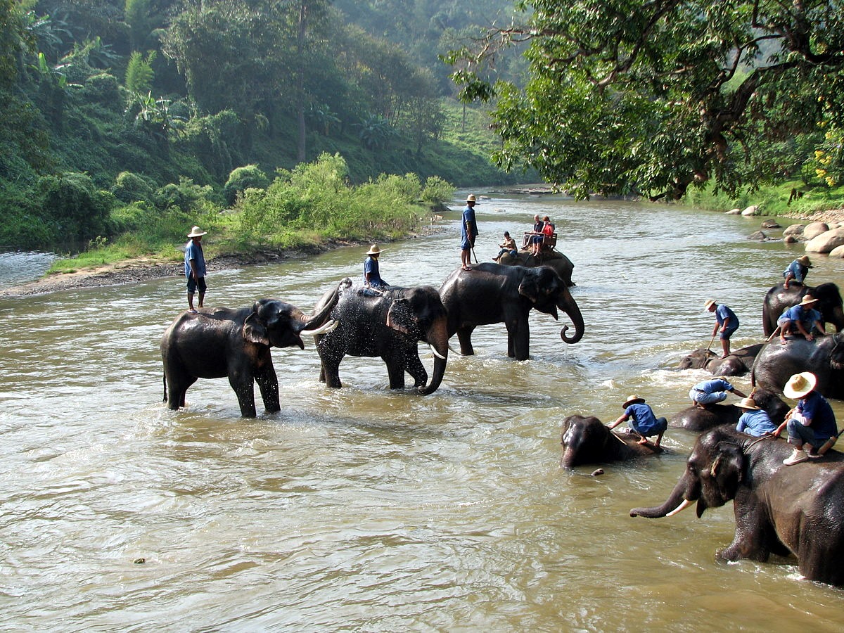Cuevas Chiang Dao en elefante