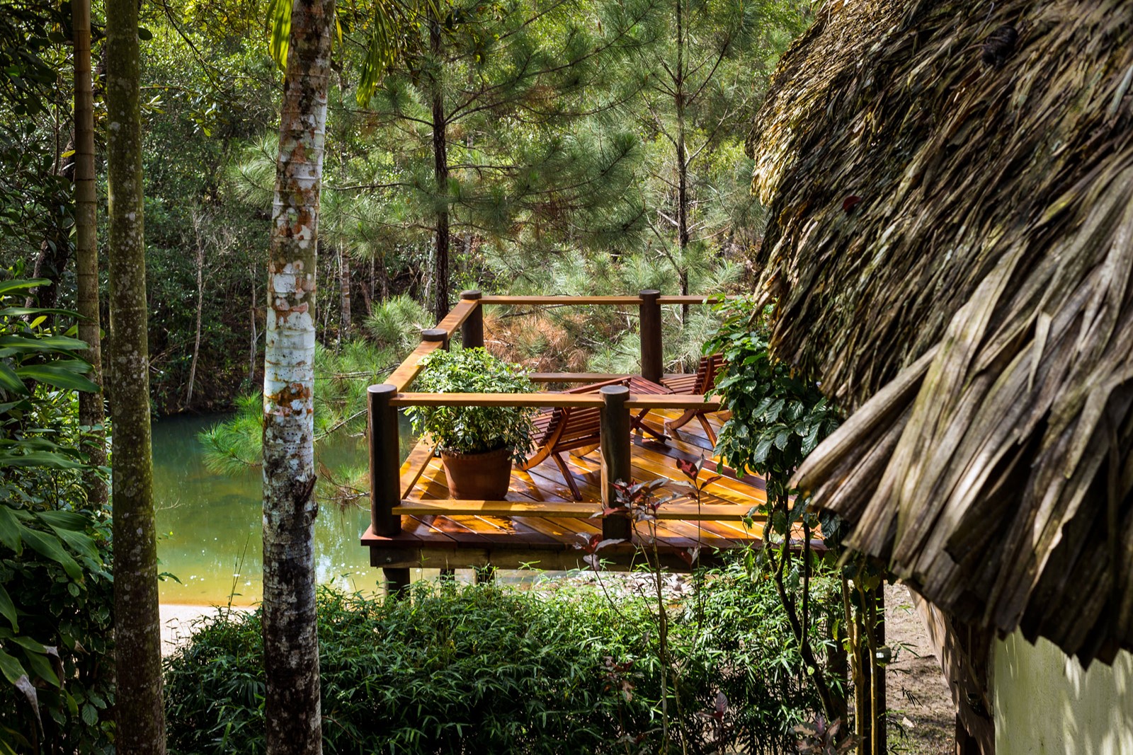 Reserva forestal mountain pine ridge