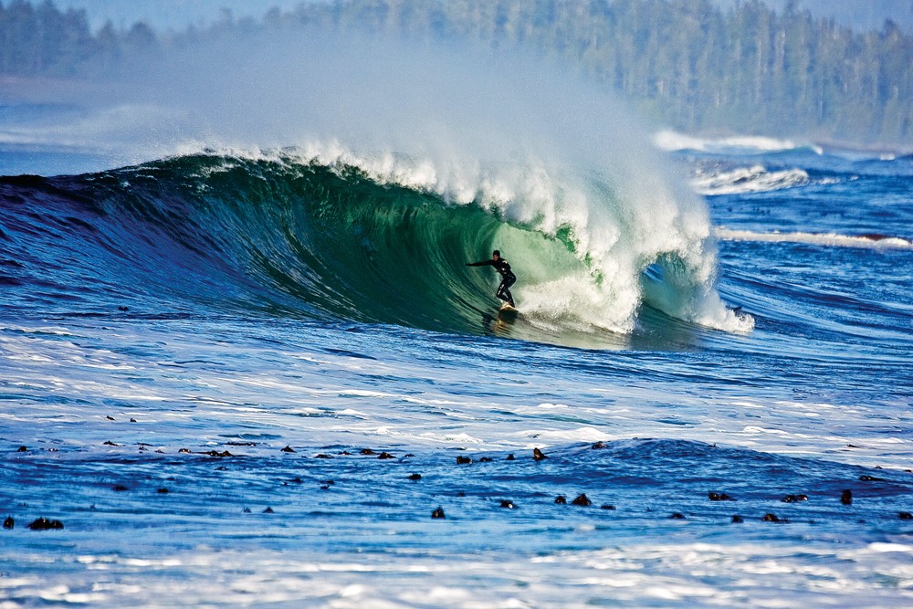 Tofino