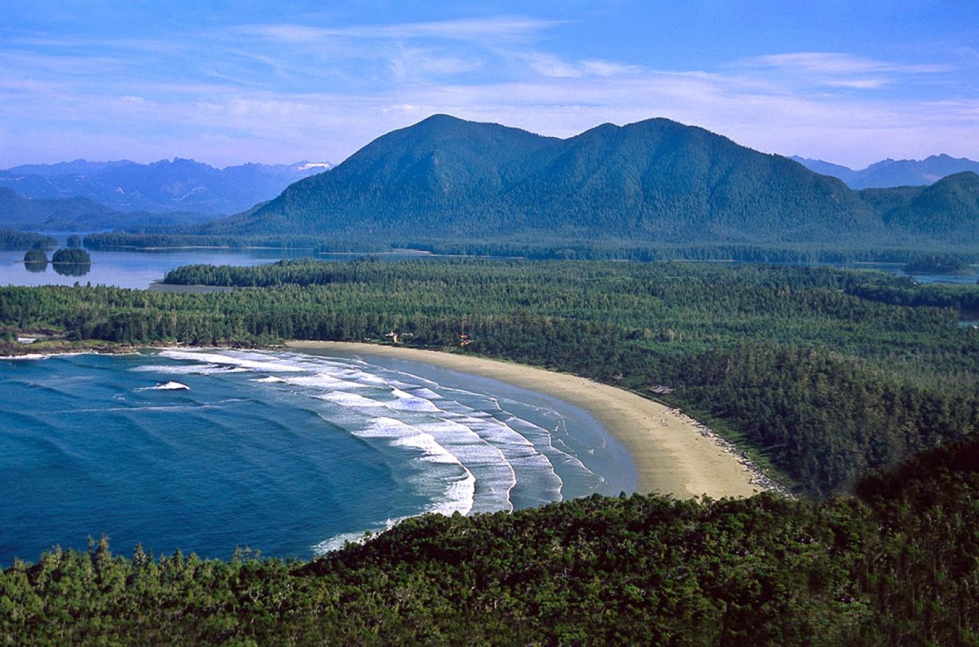 Tofino