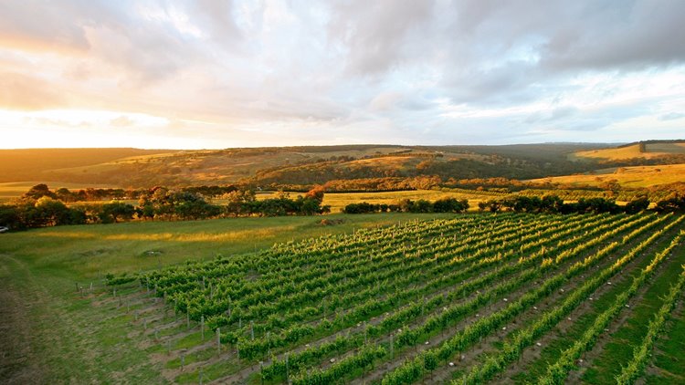 Mornington Peninsula