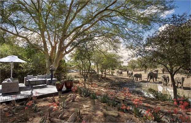 AndBeyond Ngala Safari Lodge en Ngala Private Game Reserve