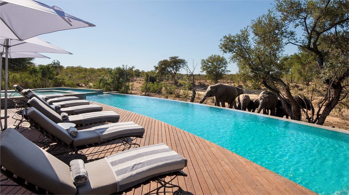 AndBeyond Ngala Safari Lodge | LAT.40