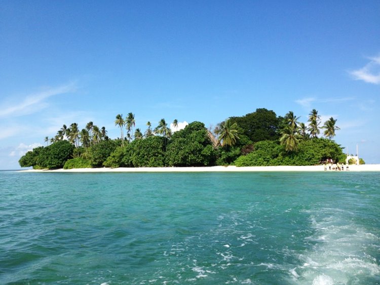Joyo Island