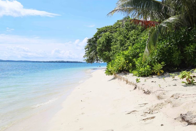 Joyo Island