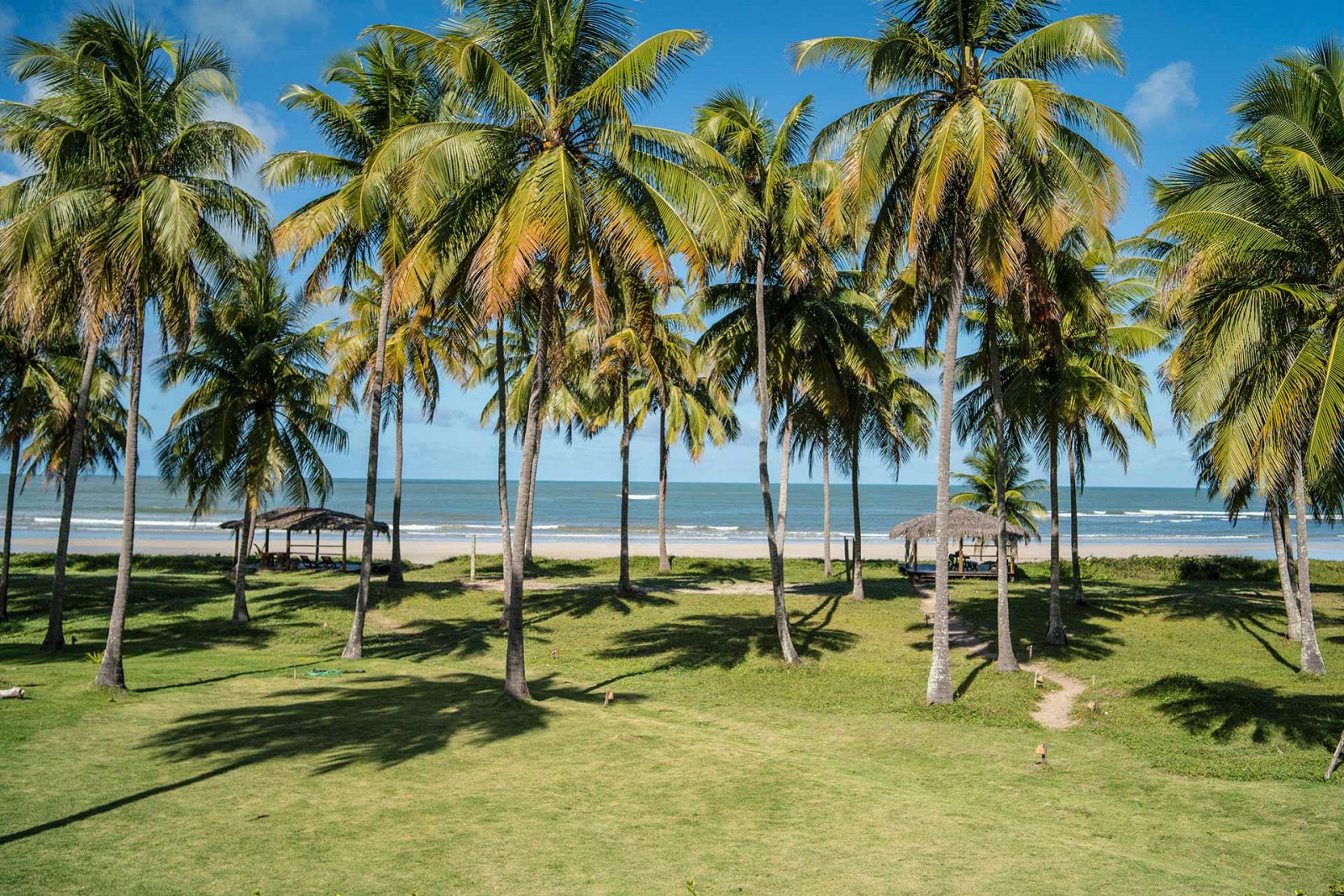 Maceio