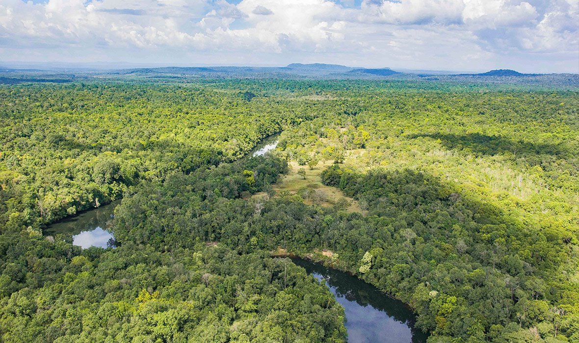 Cardamom National Park
