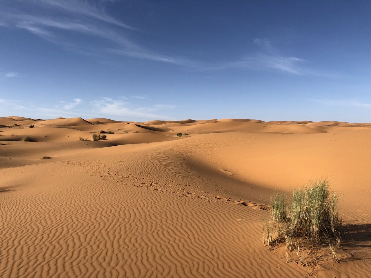 Desierto del Sahara