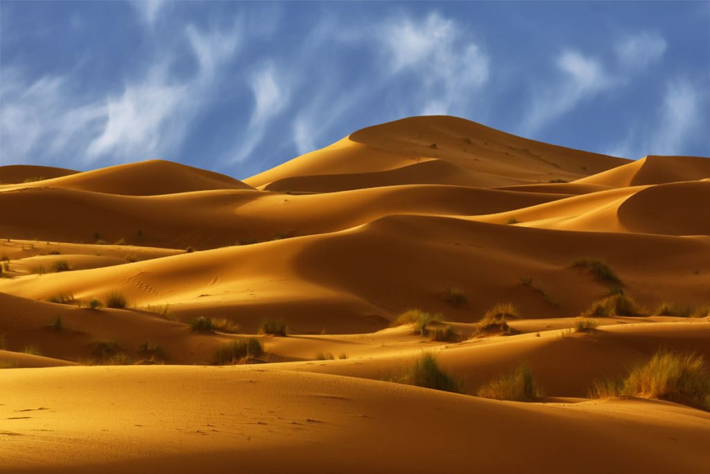 Desierto del Sahara