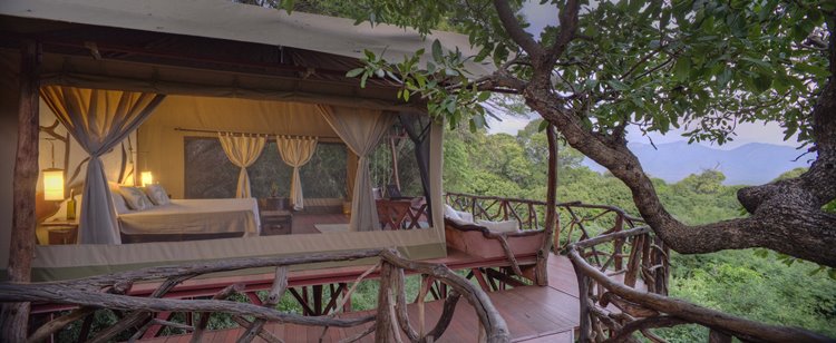 Sarara Treehouses