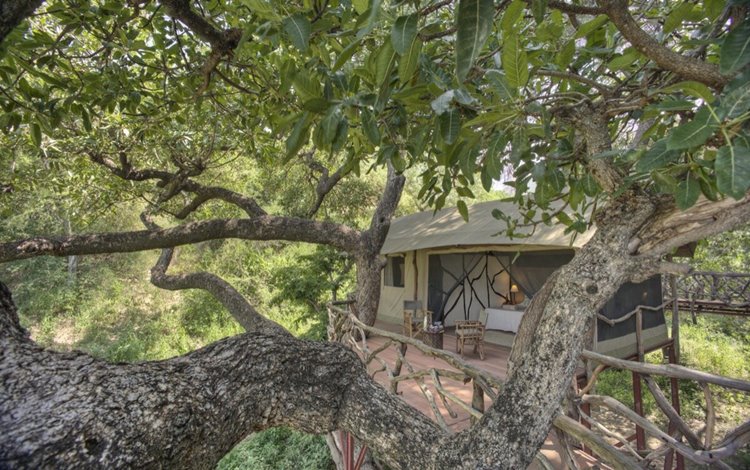 Sarara Treehouses