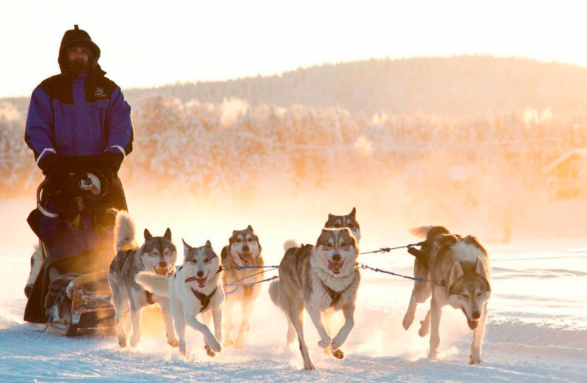 Una Maravillosa Navidad en Finlandia diseñado por LAT.40