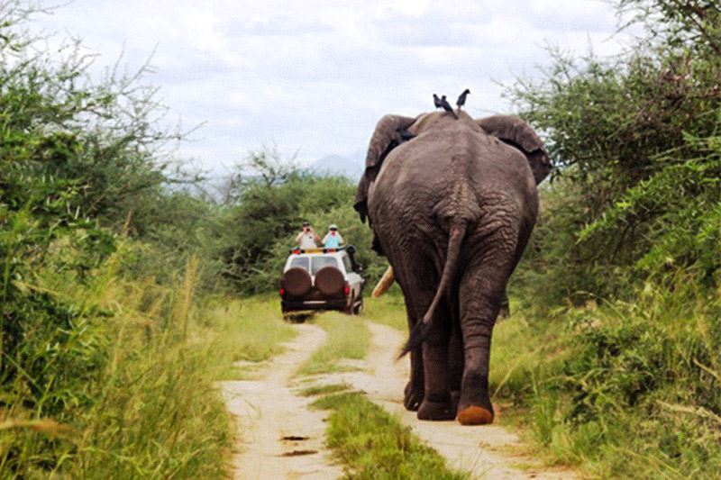 Kabalega Wilderness Lodge
