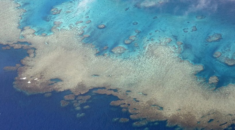 Fiji