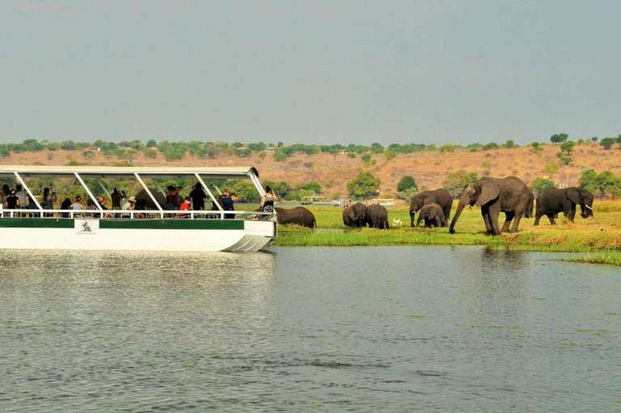 Jackalberry Lodge Chobe
