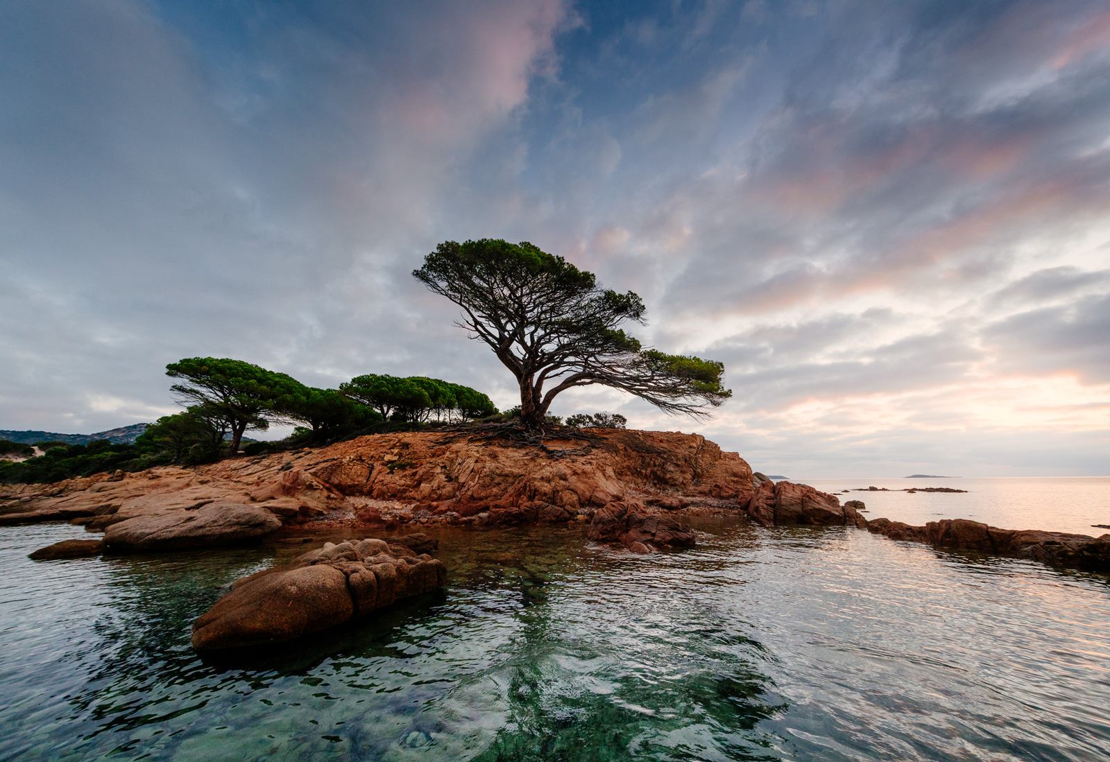 Les Bergeries De Palombaggia