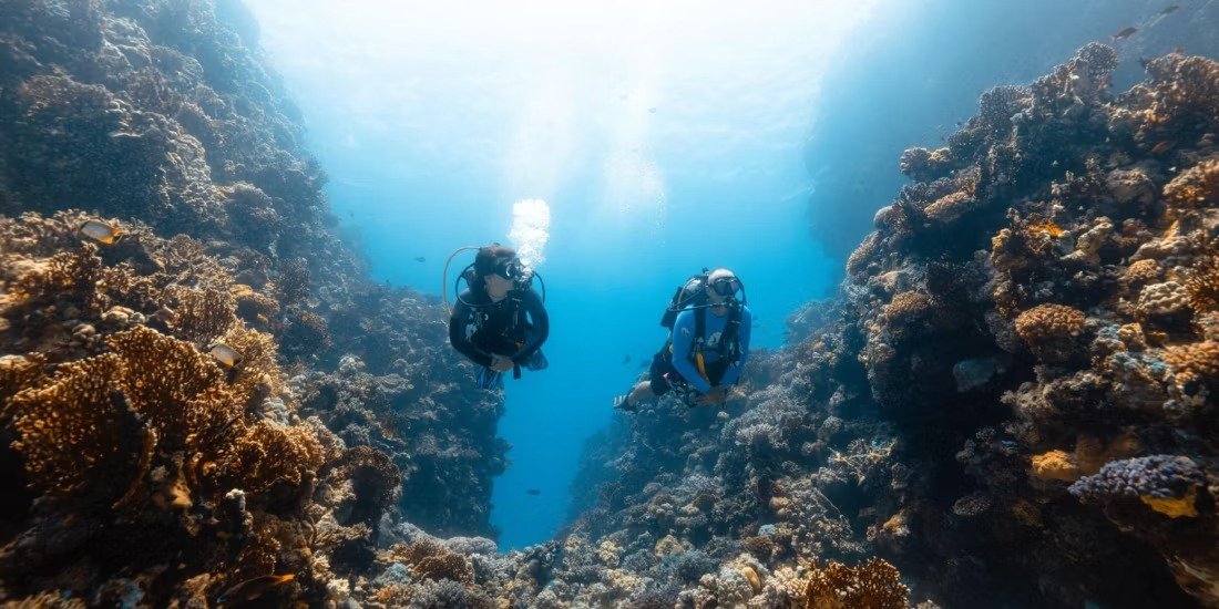 Intercontinental Red Sea