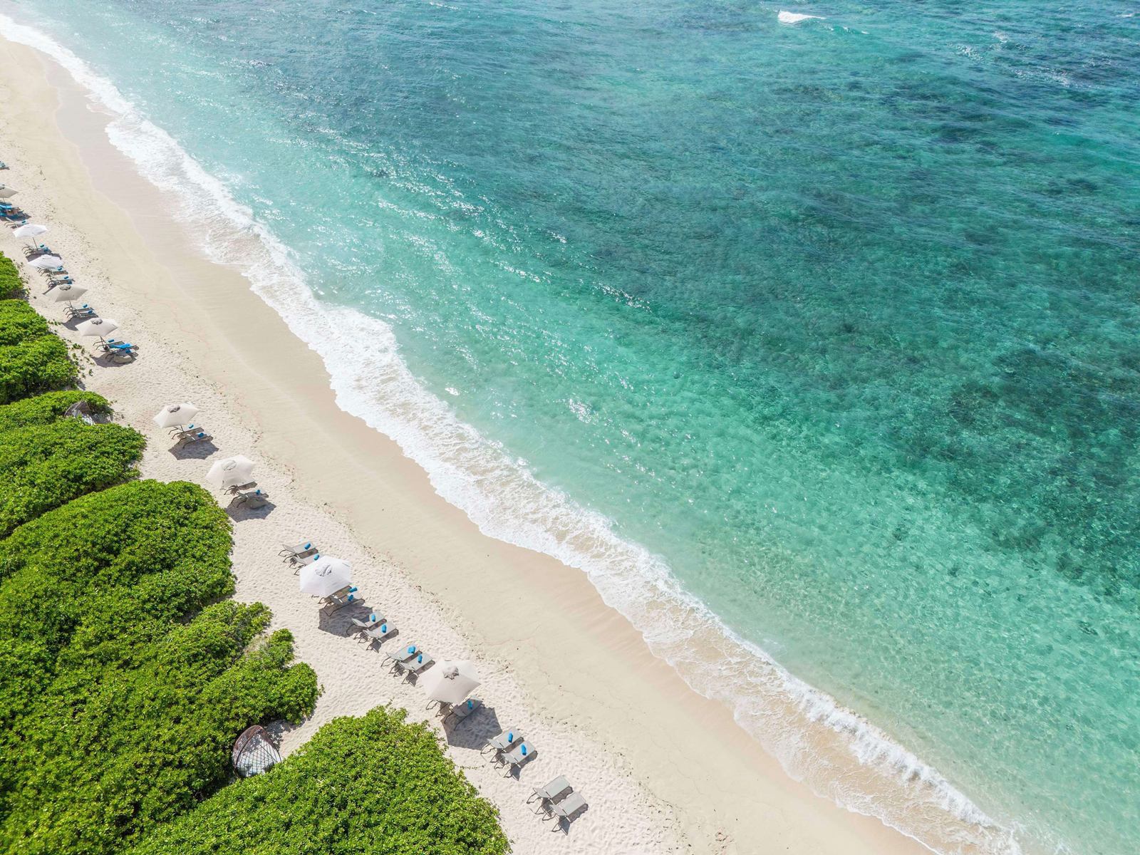 Constance Le Chaland