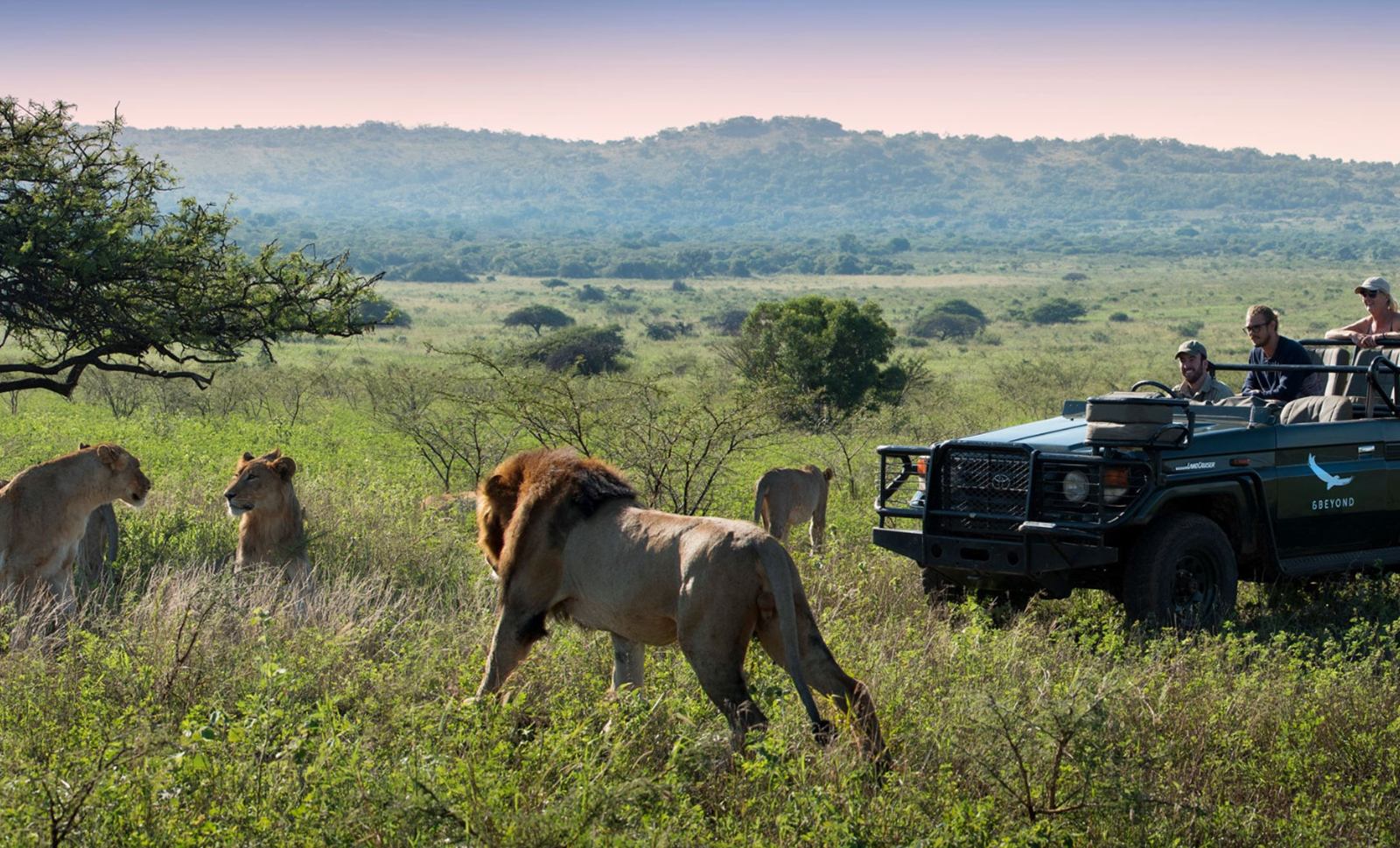 andBeyond Phinda Mountain Lodge