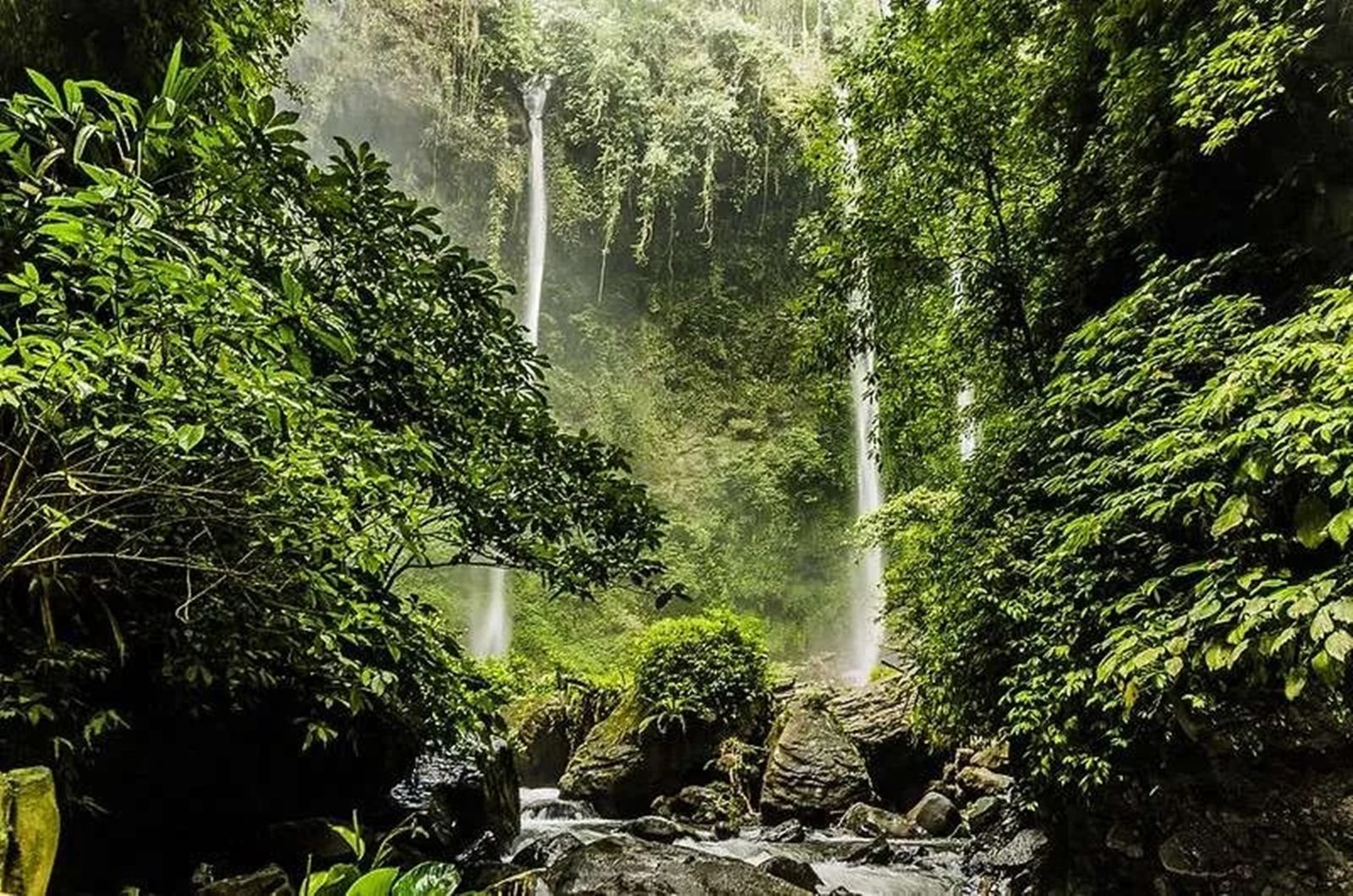 Reserva Natural de Tangkoko