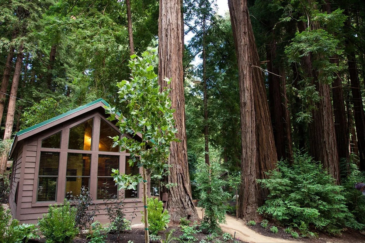 Big Sur