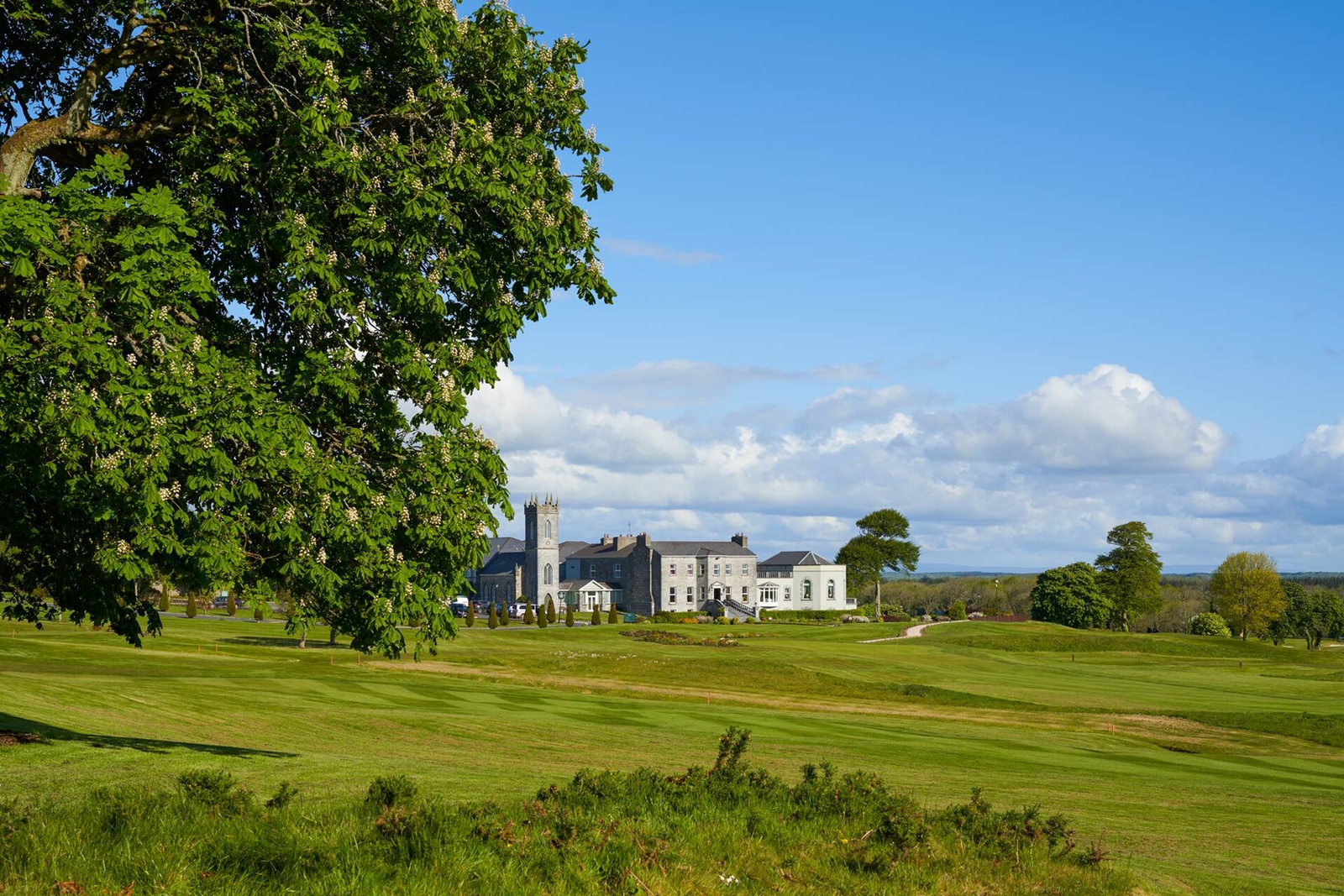 Galway