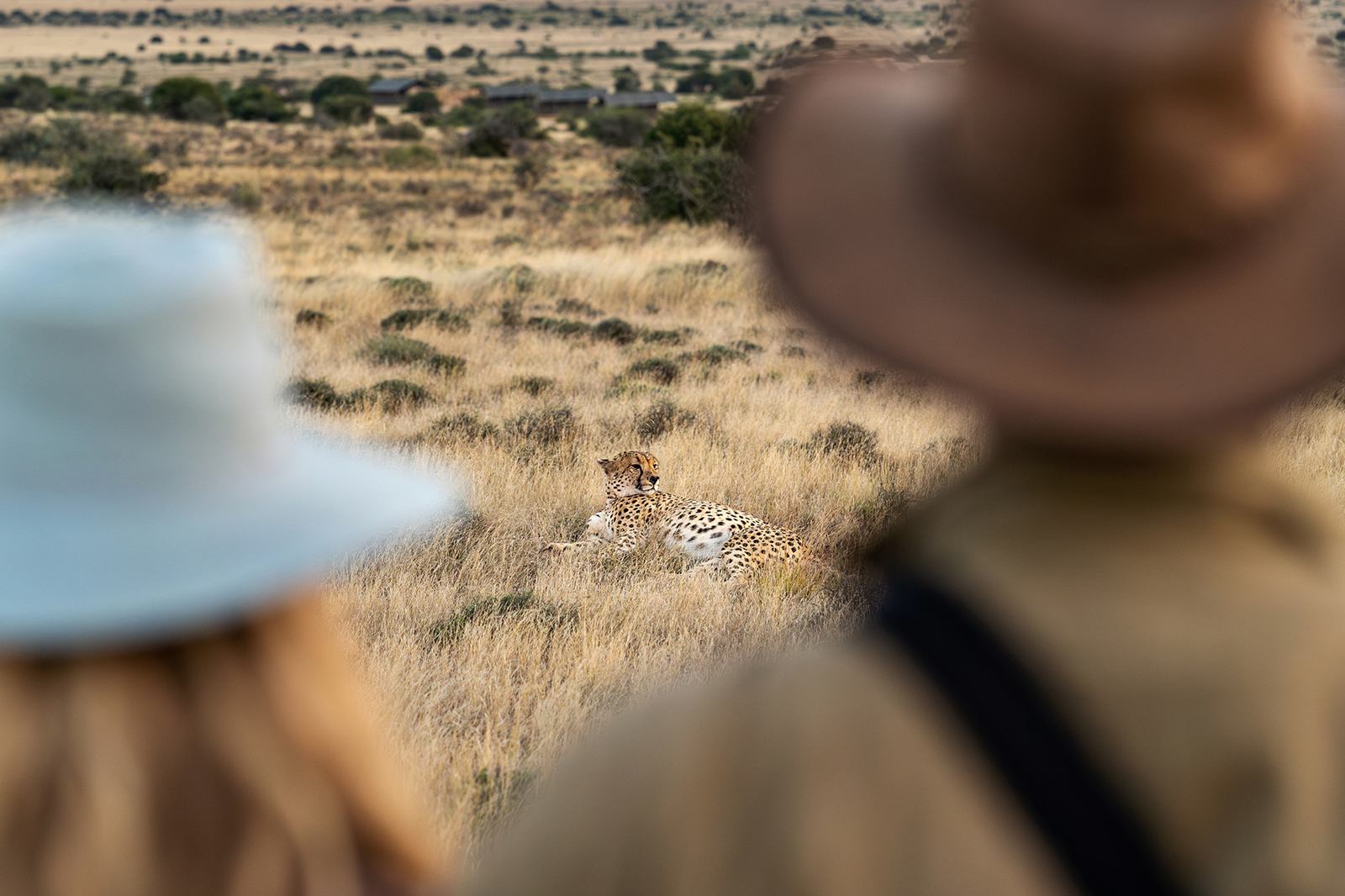 Samara Karoo Reserve