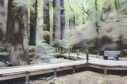 Estados Unidos-Big Sur-big-sur-lodge0-low.jpg