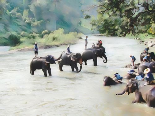 Cuevas Chiang Dao en elefante