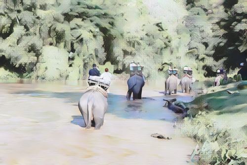 Cuevas Chiang Dao en elefante