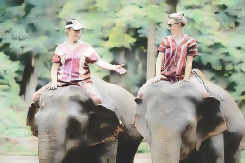 Tailandia-patara-elephant-farm0-low.jpg